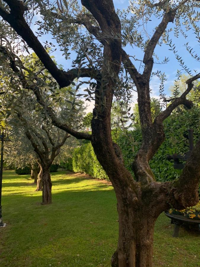 Rustico Di Benellini Angela Bed and Breakfast Polpenazze del Garda Buitenkant foto